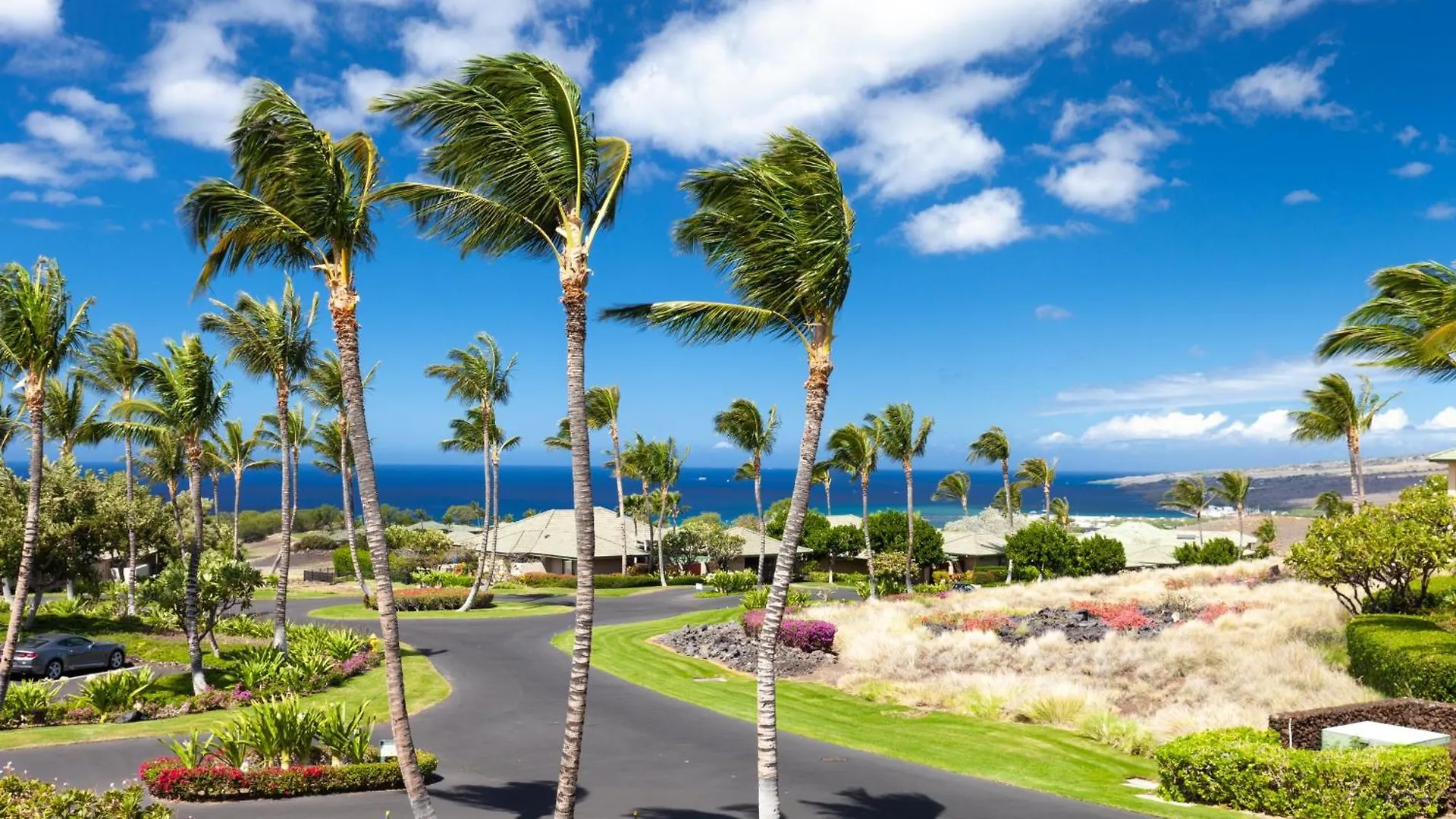 Apartment Ocean Palsm Villa Refined 3Br Waiulaula Home With Stunning Ocean Views Hapuna Beach United States